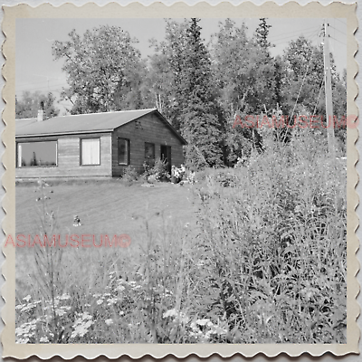 50s Palmer Massachusetts FARM TREE WOODEN HOUSE LOG USA  OLD VINTAGE Photo S7901