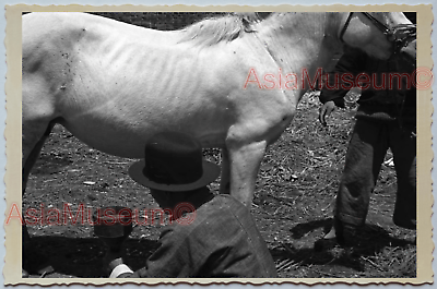 WW2 CHINA SHANGHAI HORSE STREET SCENE MAN OLD MILKING Vintage Photo 中国上海老照片 283