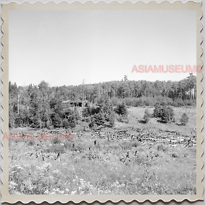 50s MINNESOTA LITTLE MARAIS FARMING HARVEST TREE CROP Vintage USA Photo S8141