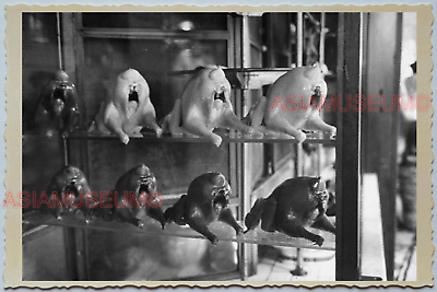 WW2 CHINA SHOP RESTAURANT ROASTED CHICKEN FOOD DISPLAY Vintage Photo A16 中国旧老照片