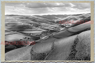 WW2 CHINA NANKING MOUNTAIN HILL PADDY FIELD FARM RICE Vintage Photo A11 中国旧老照片