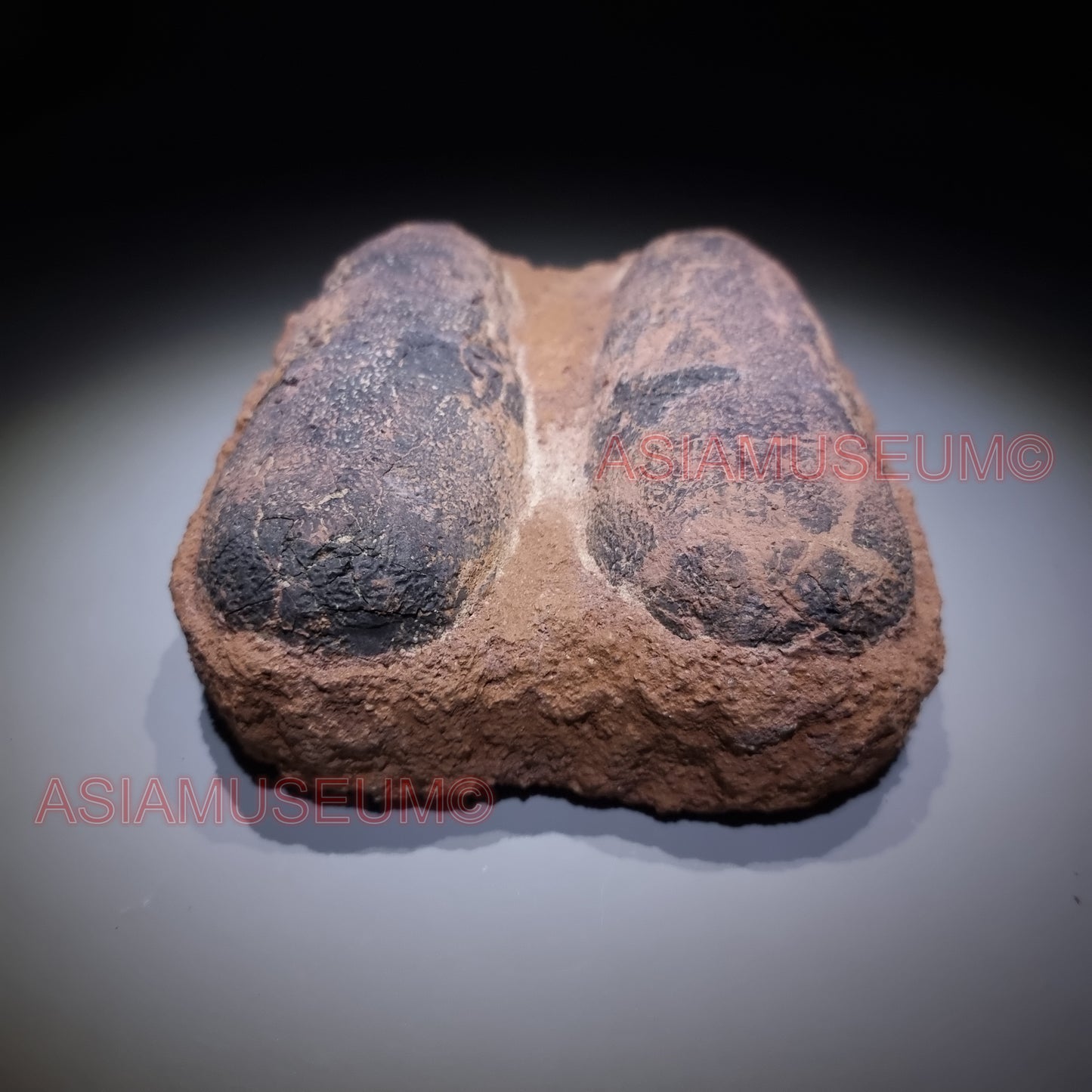 Double OVIRAPTOR RAPTOR Velociraptor Dinosaur Egg Fossil Theropod JURASSIC WORLD