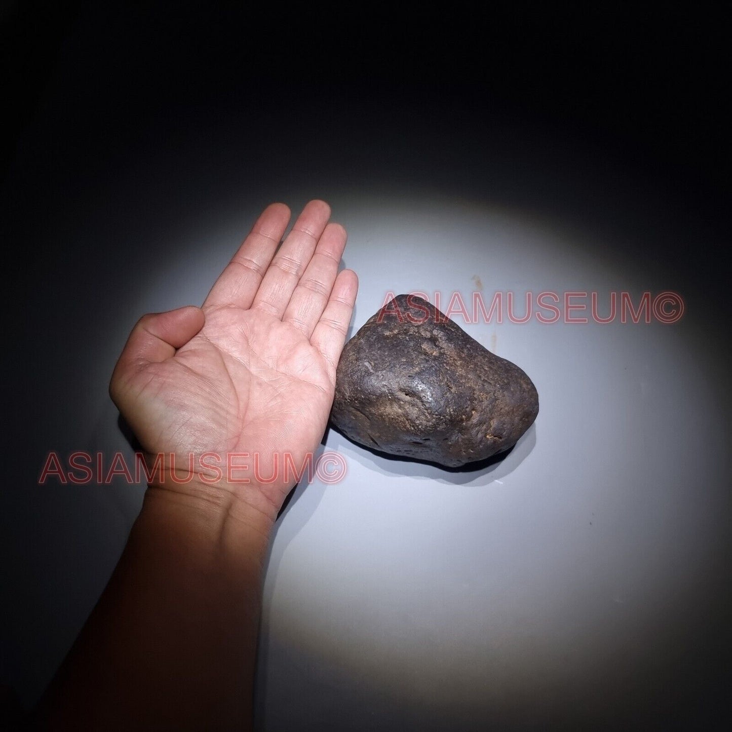 1020 Gram Meteorit Eisen Nickel Kristall Mineralien Nantan China Meteorstein MC