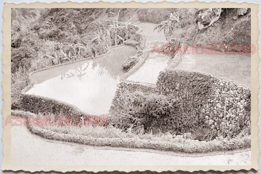 50s PHILIPPINES MANILA LUZON MOUNTAIN HILL RICE TERRACE VIEW Vintage Photo 24341