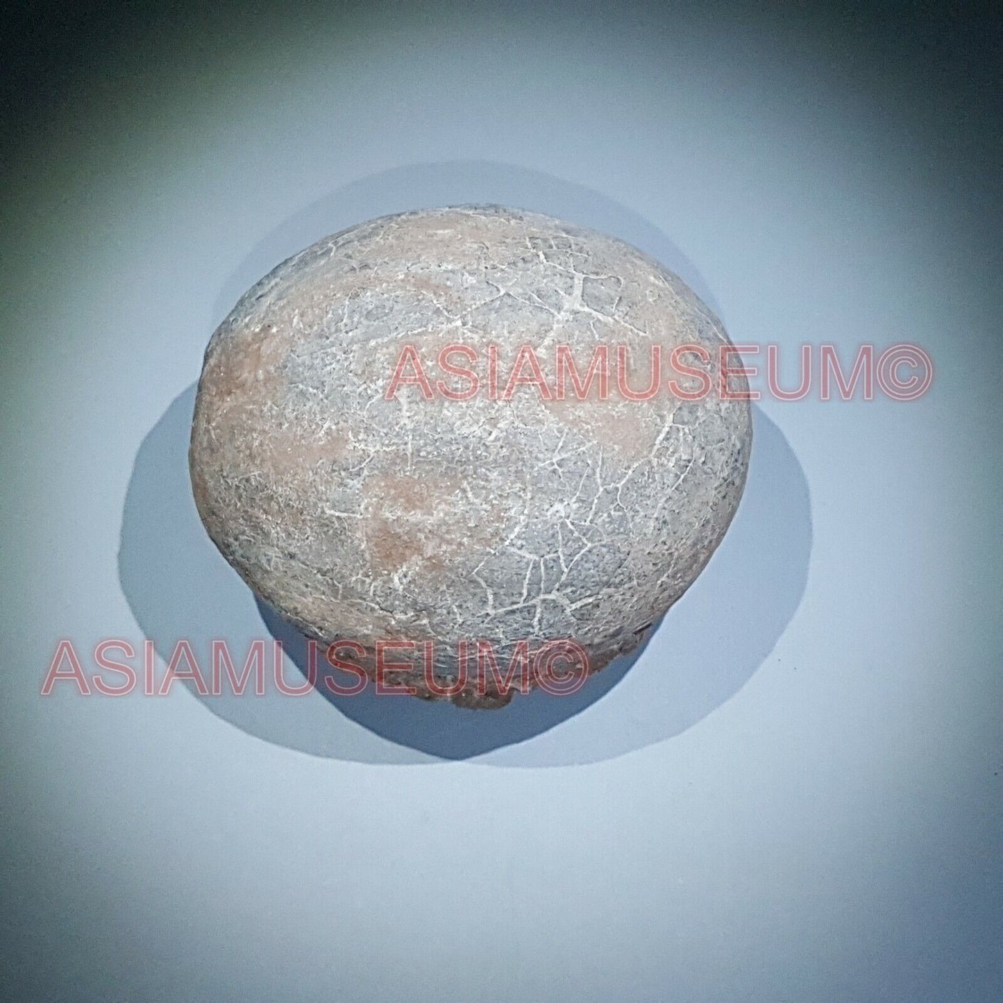 Dinosaur Egg Nest Dendrolithus Hadrosaur Duckbill Fossil Jurassic Park World G33