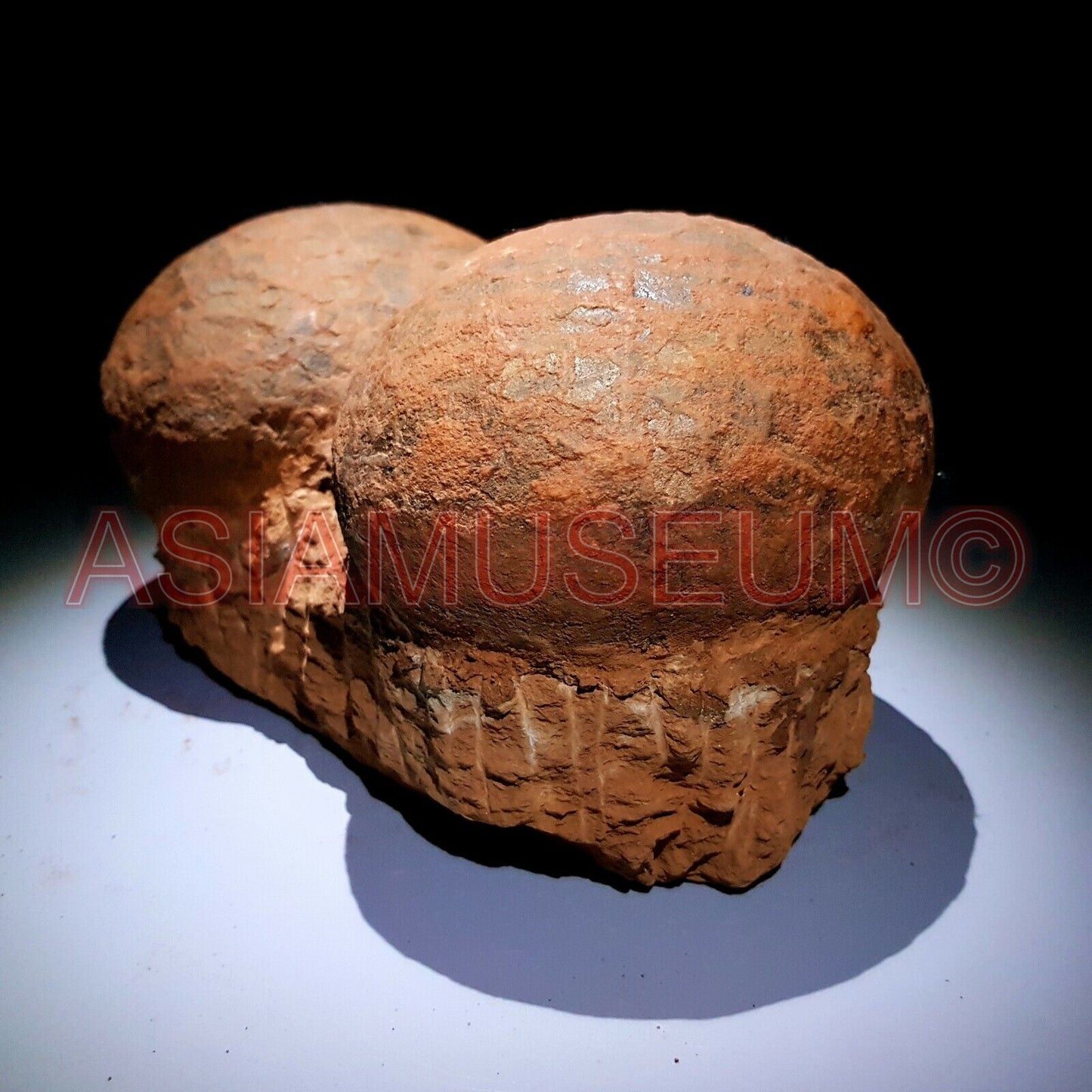 PAIRE Dinosaure Oeuf Hadrosaur Nid Dendrolithus Fossile Jurassique Crétace DZ