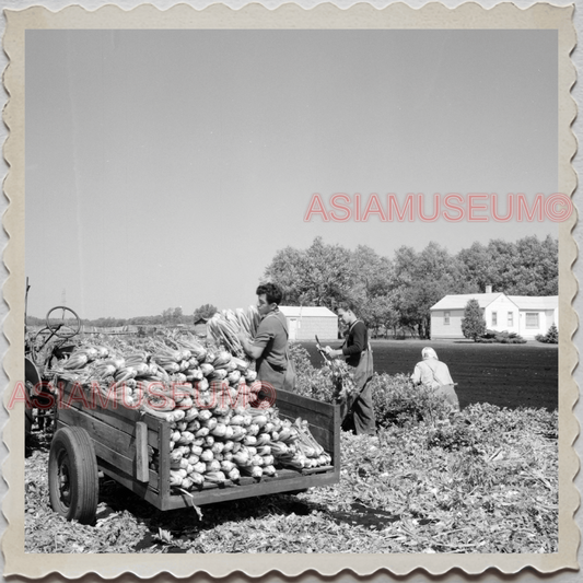 50s LAKE GENEVA WISCONSIN WALWORTH MILWAUKEE FARMER HARVEST OLD USA Photo 10025