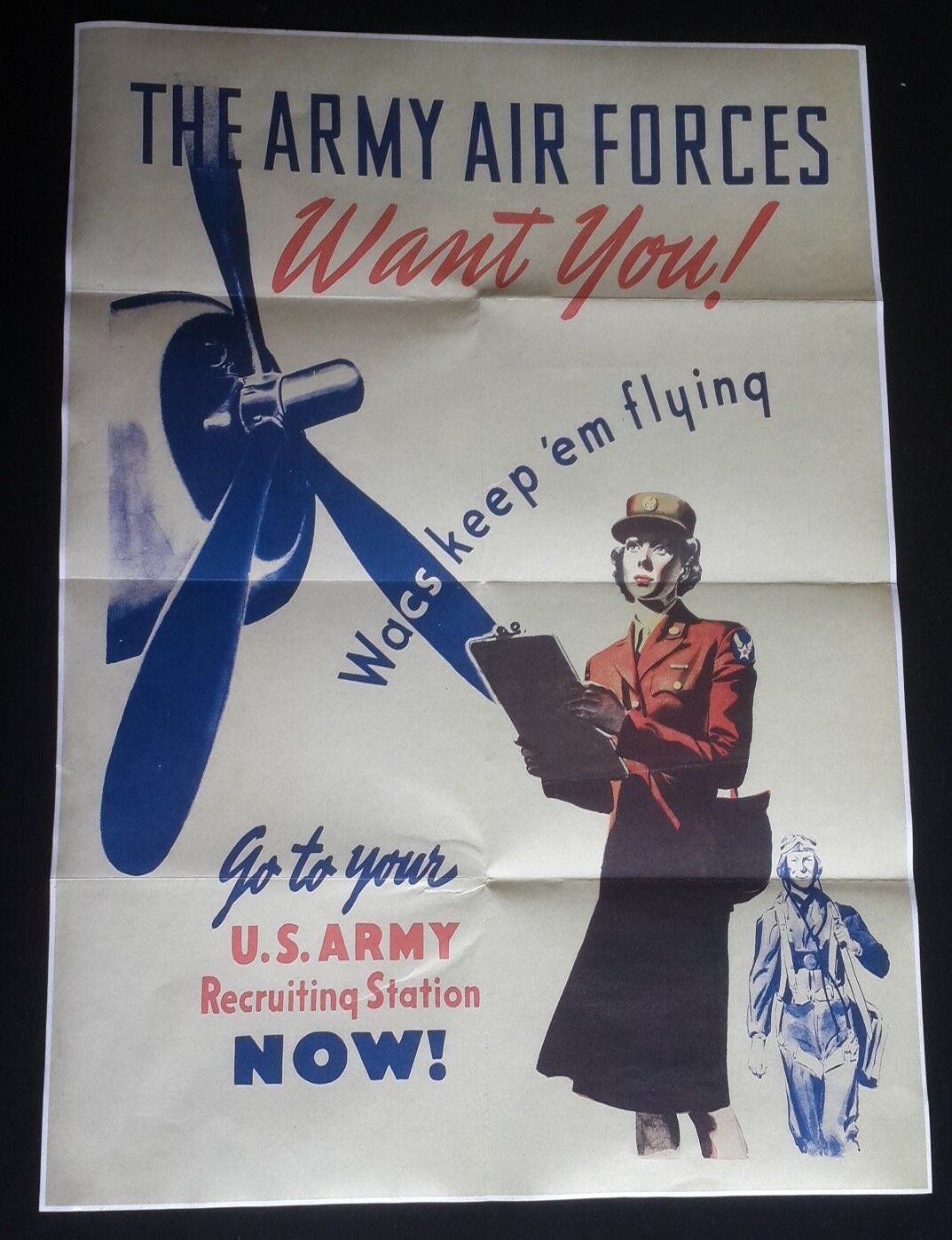 1943 WW2 USA AMERICA WOMEN ARMY AIR FORCE WAR PILOT PLANE FLAG PROPAGANDA POSTER