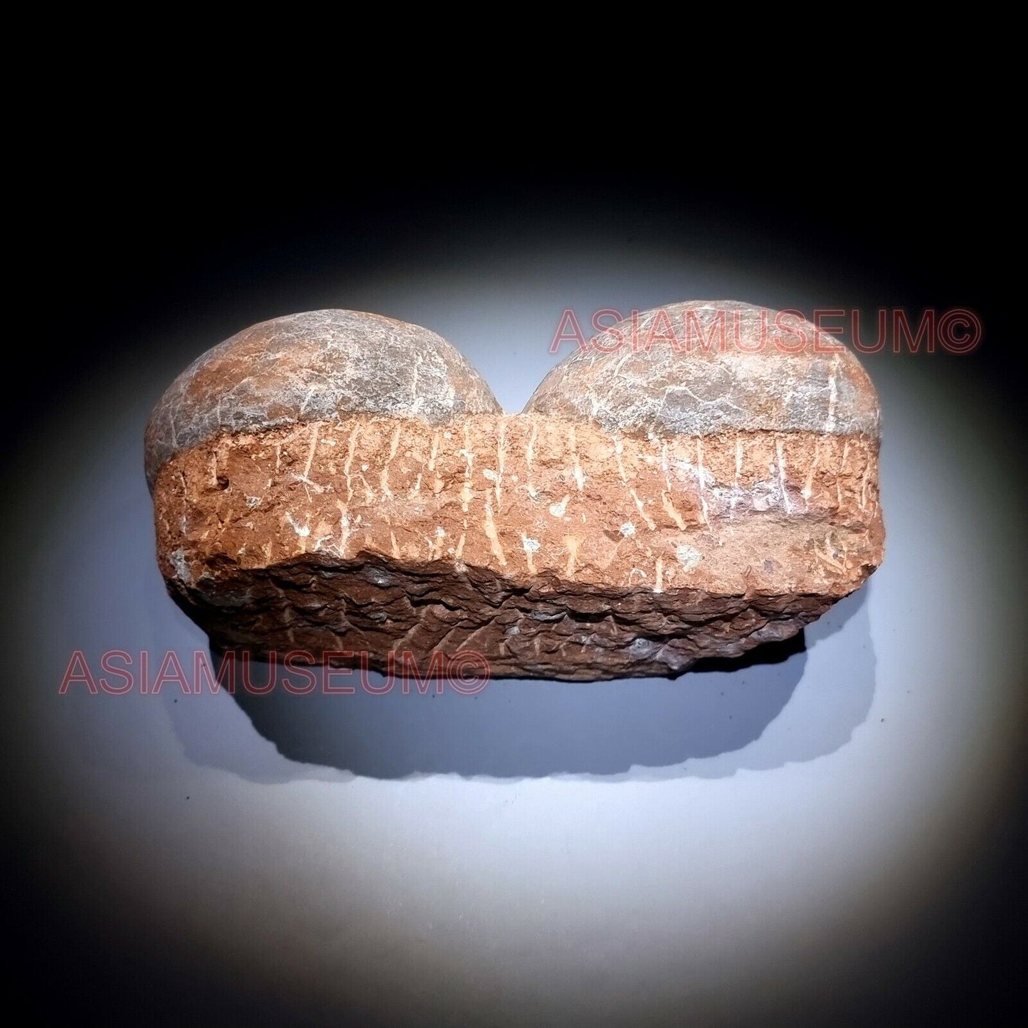 PAIRE Dinosaure Oeuf Hadrosaur Nid Dendrolithus Fossile Jurassique Crétace G6jj