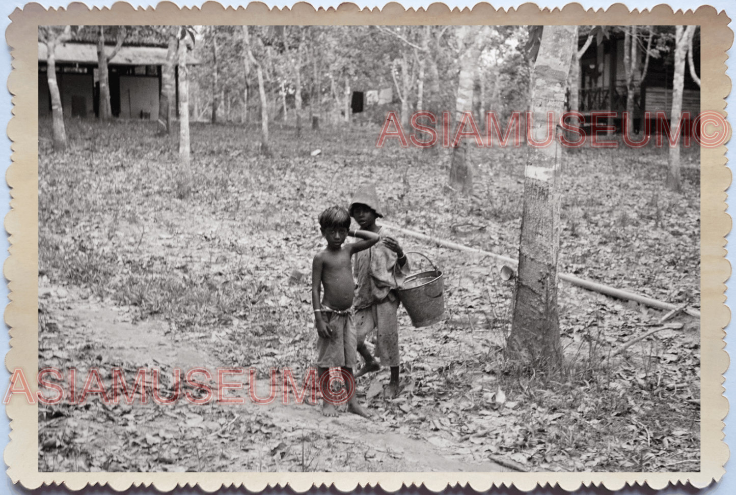 WW2 Boys Children Rubber Plantation Trees Hut B&W Vintage Singapore Photo 29172