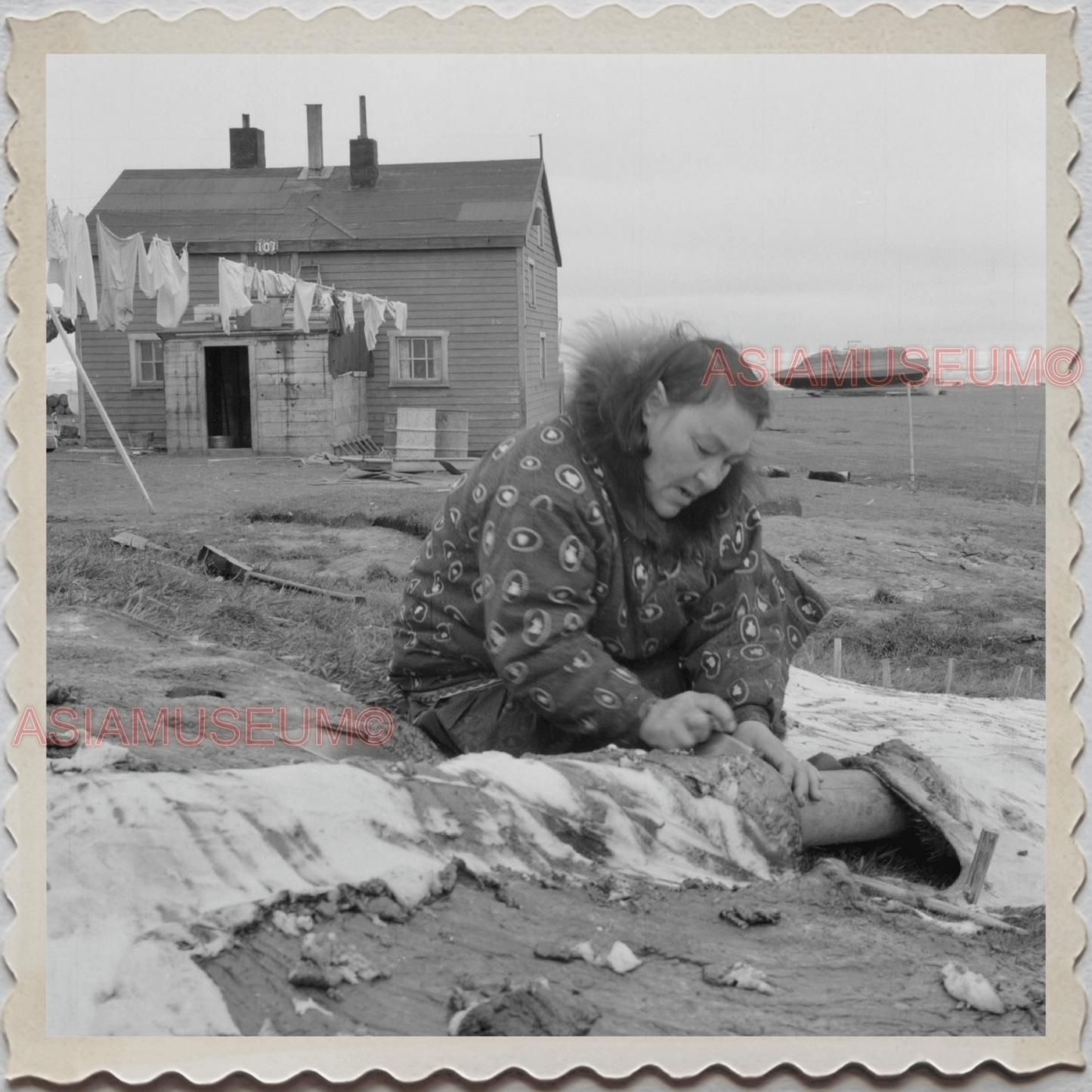 50s UTQIAGVIK NORTH SLOPE BARROW ALASKA WOMEN WALRUS SNOW VINTAGE USA Photo 8200