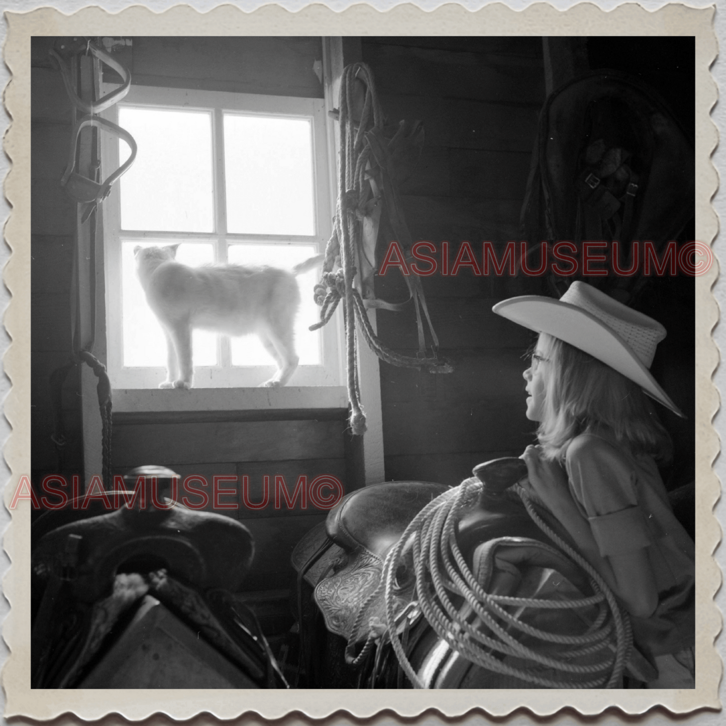 50s AUGUSTA KRONE RANCH COWBOY GIRL CAT HOME VINTAGE OLD USA AMERICA Photo 11116