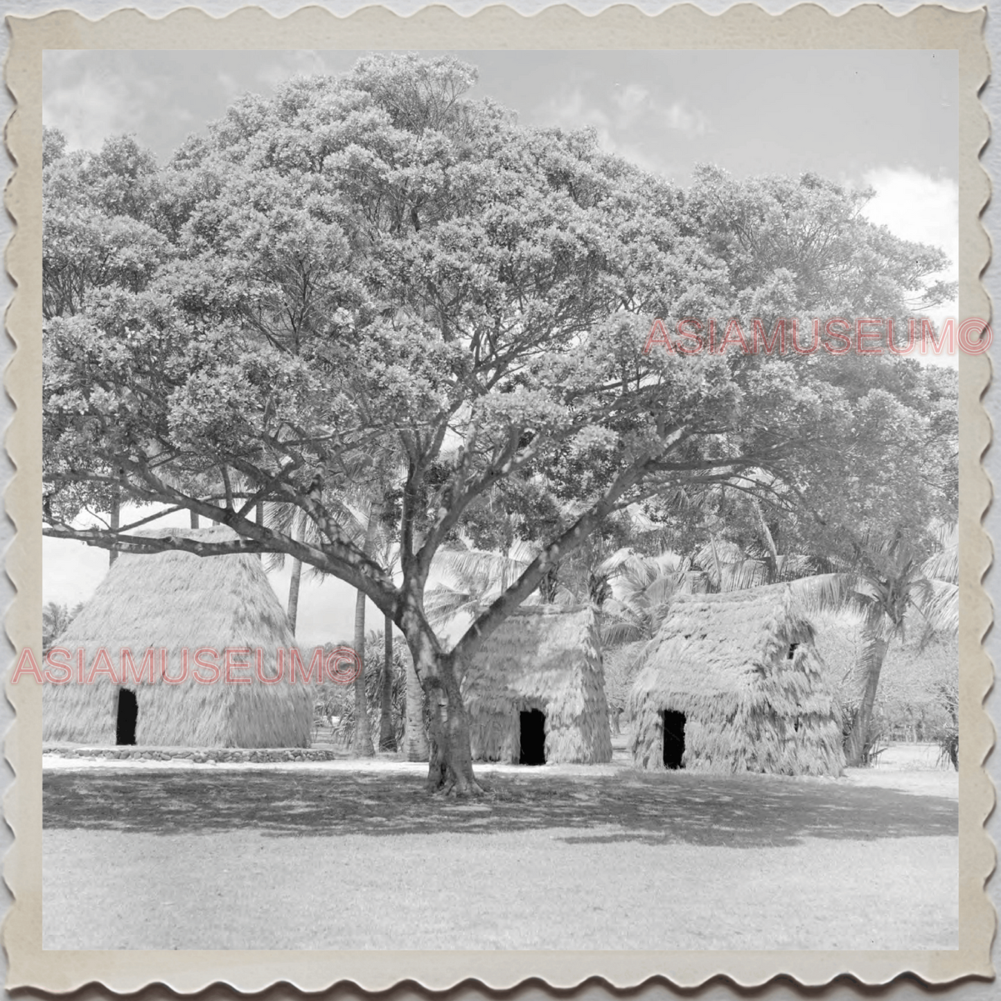 50s HAWAII OAHU HONOLULU WAIKIKI ULU MAU VILLAGE VINTAGE AMERICA USA Photo 8272