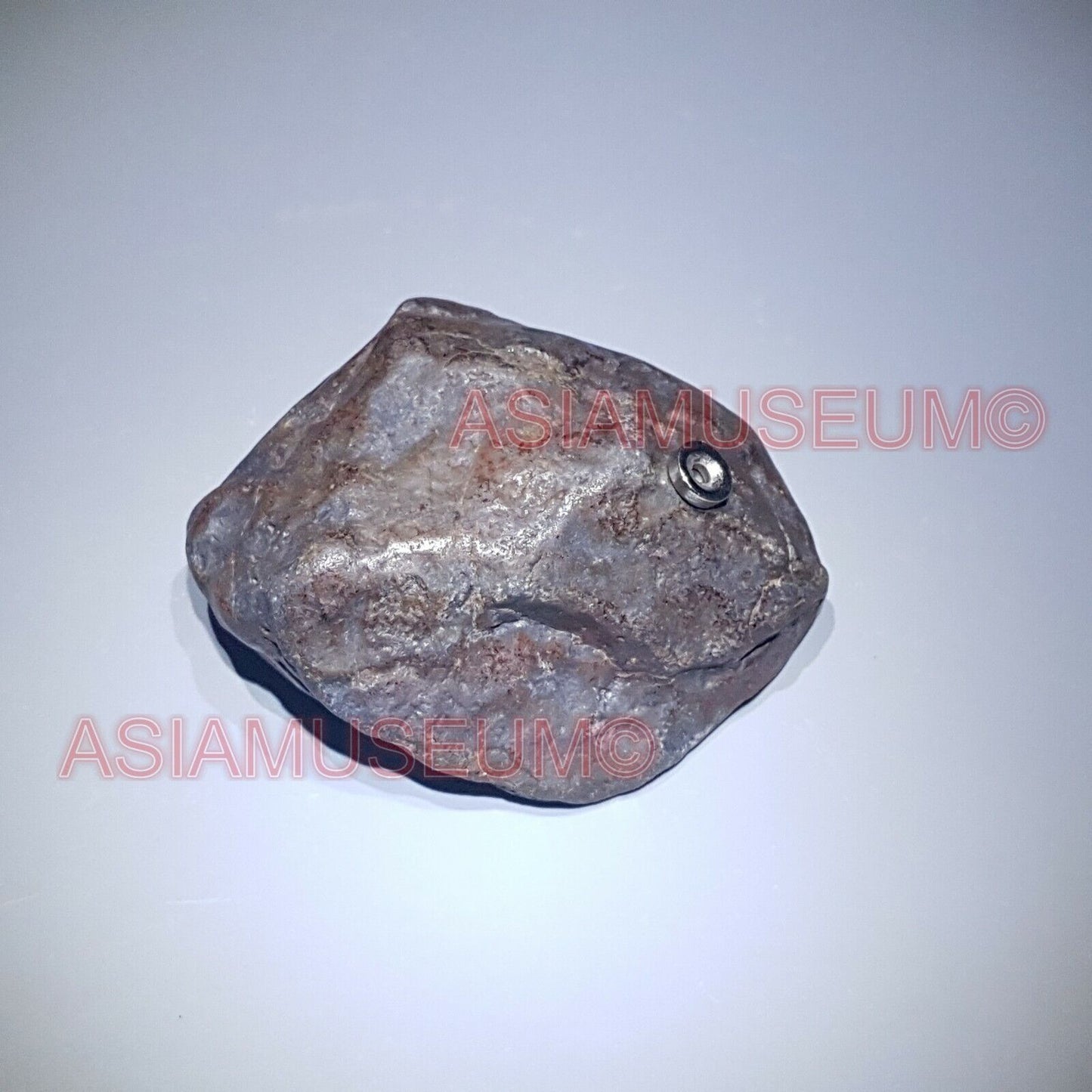 334g XINJIANG Uyghur Armanty IRON NICKEL METEORITE Crystal Meteor Aerolite Jb