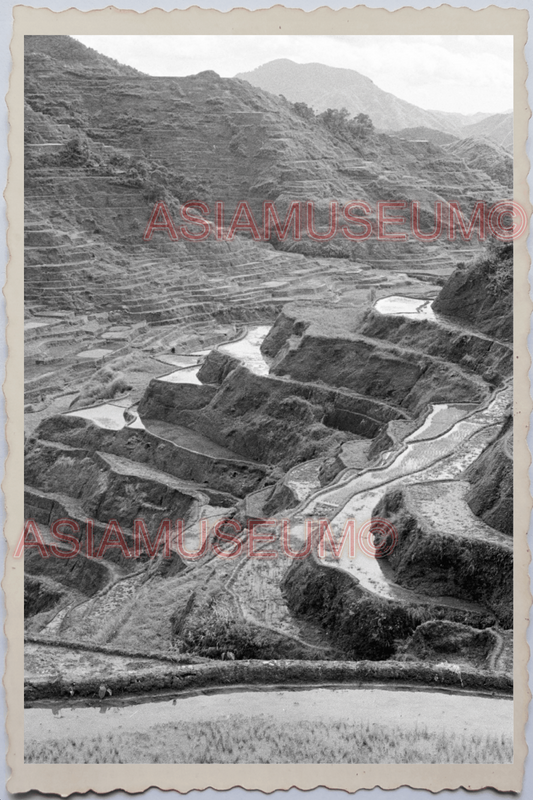 50s PHILIPPINES LUZON IFUGAO CORDILLERA BANAUE RICE TERRACE Vintage Photo 24235