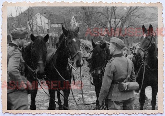 WWii D-DAY NORMANDY EUROPE Military Infantry Horse Soldier Army Axis Photo B6