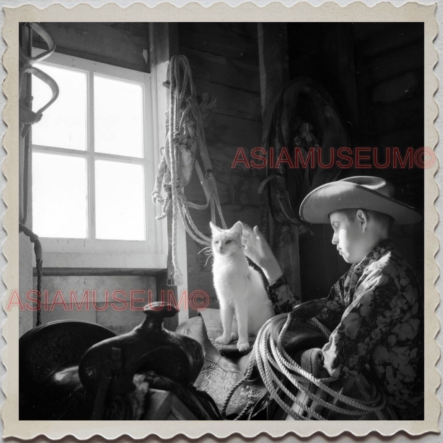 50s AUGUSTA KRONE RANCH COWBOY BOY CAT ROPES VINTAGE OLD USA AMERICA Photo 10918