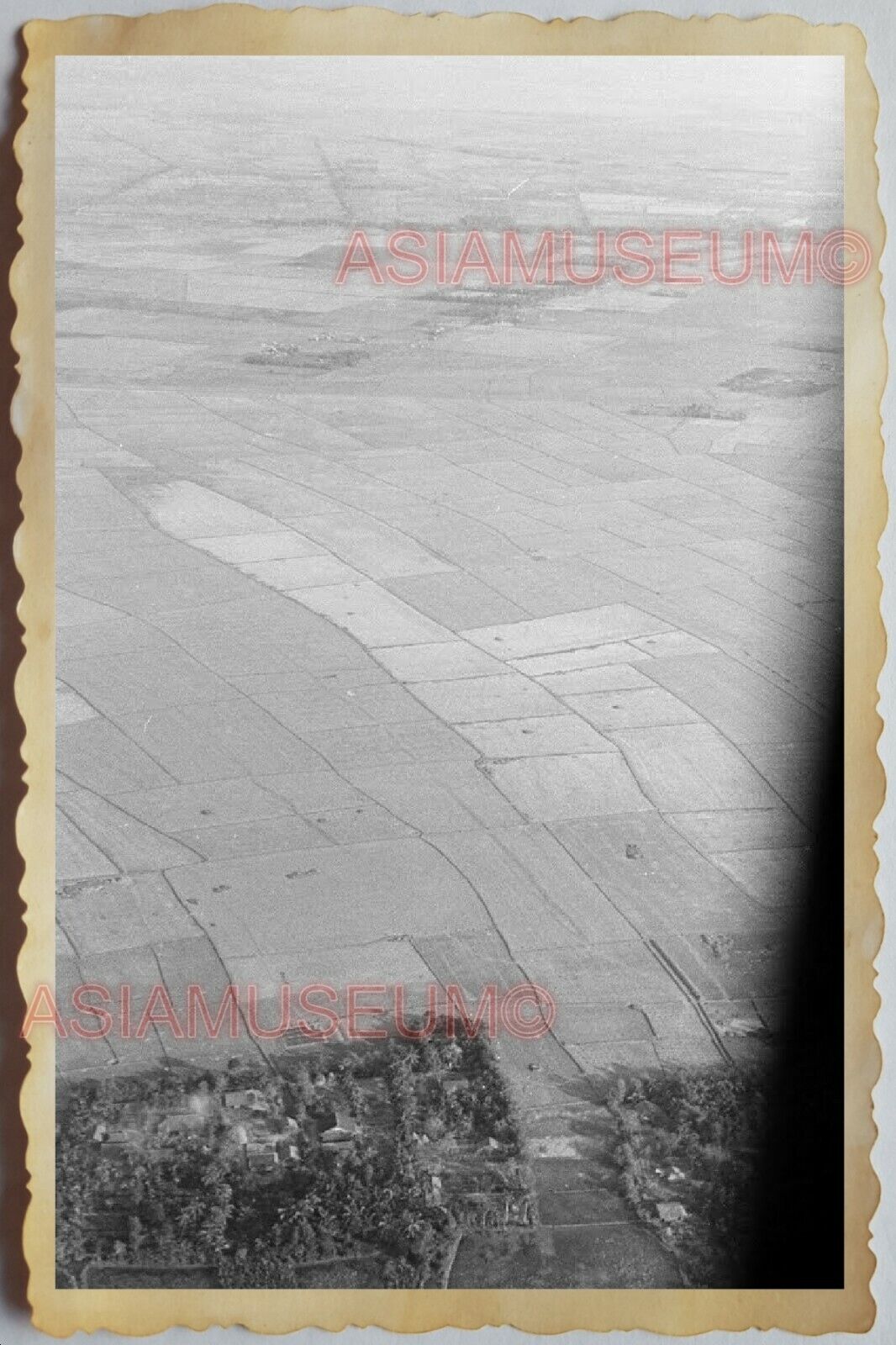 40s Vietnam War SAIGON PADDY RICE FIELD AERIAL VIEW AIRCRAFT Vintage Photo 1615