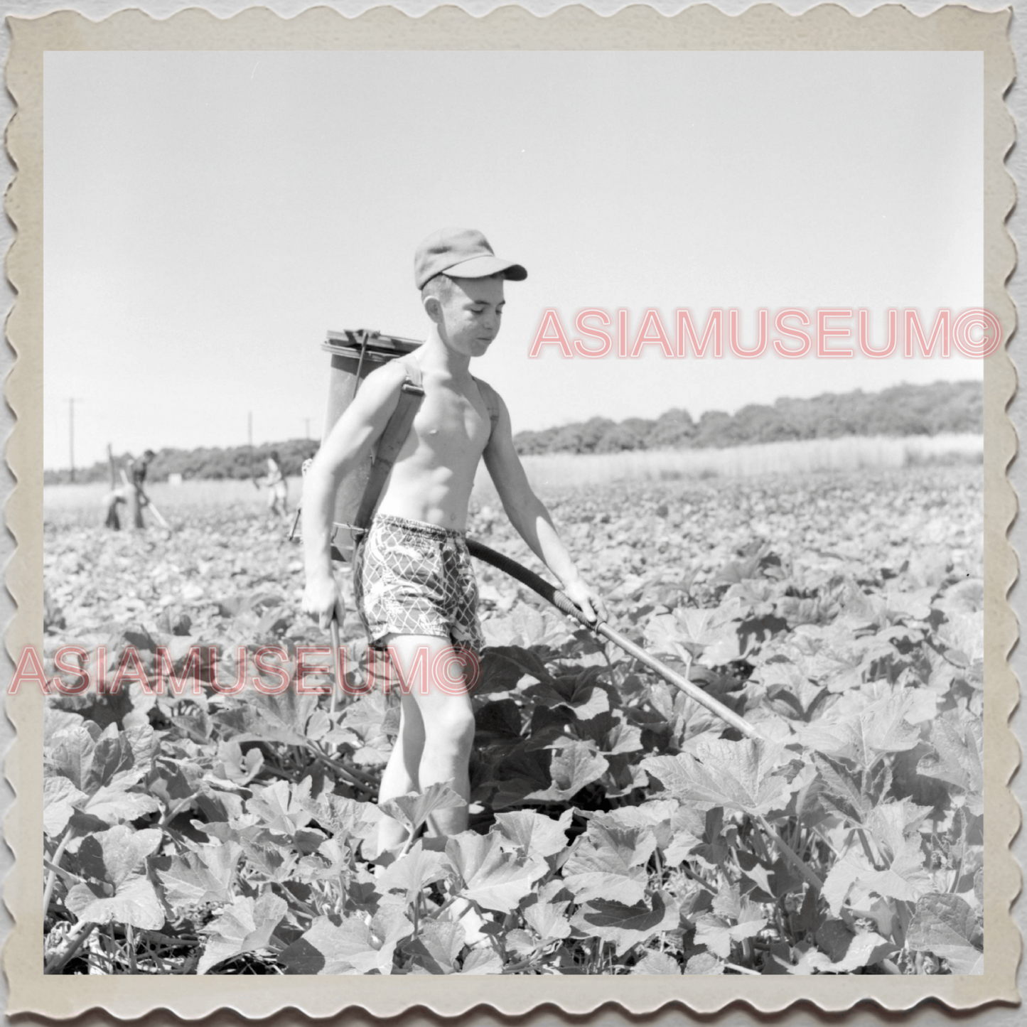 50s POLK COUNTY LAKELAND BARTOW FLORIDA BOYS GARDENING VINTAGE USA Photo 12424