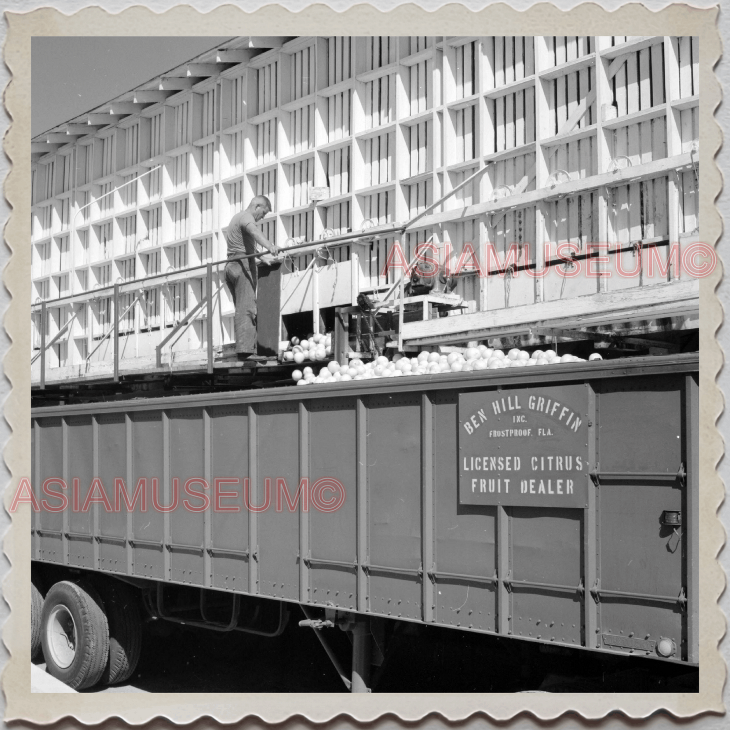 50s FROSTPROOF FLORIDA BILL HILL GRIFFIN TRAIN VINTAGE USA AMERICA Photo 10753