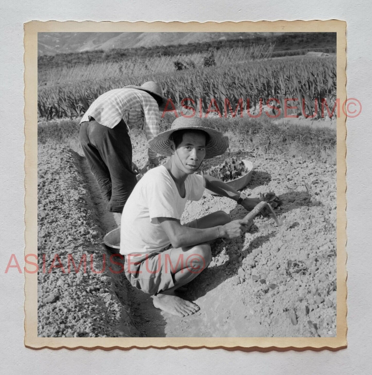 TAI O YUEN LONG FARMER VILLAGE FARM HAT B&W Vintage Hong Kong Photo 27509 香港旧照片