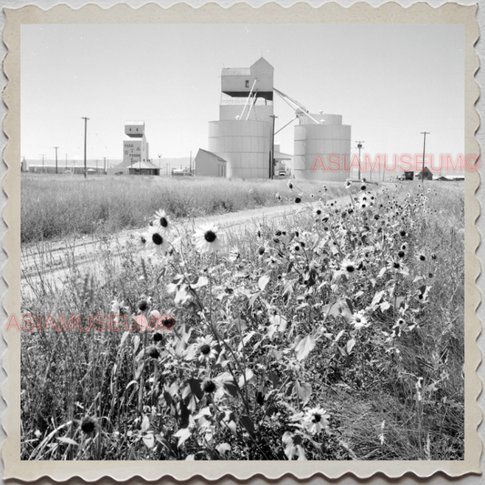 50s CASCADE COUNTY MONTANA GRAIN FACTORY FLOWER AMERICA VINTAGE USA Photo 8363