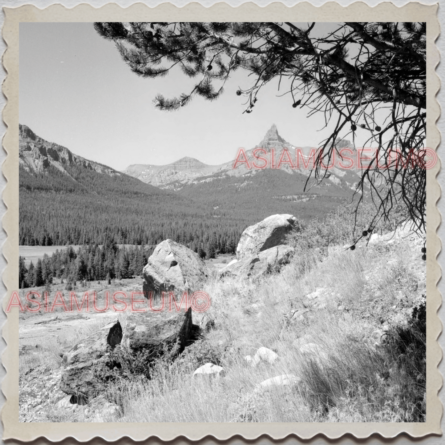 50s YELLOWSTONE NATIONAL PARK WYOMING MONTANA MOUNTAIN VINTAGE USA Photo 11150