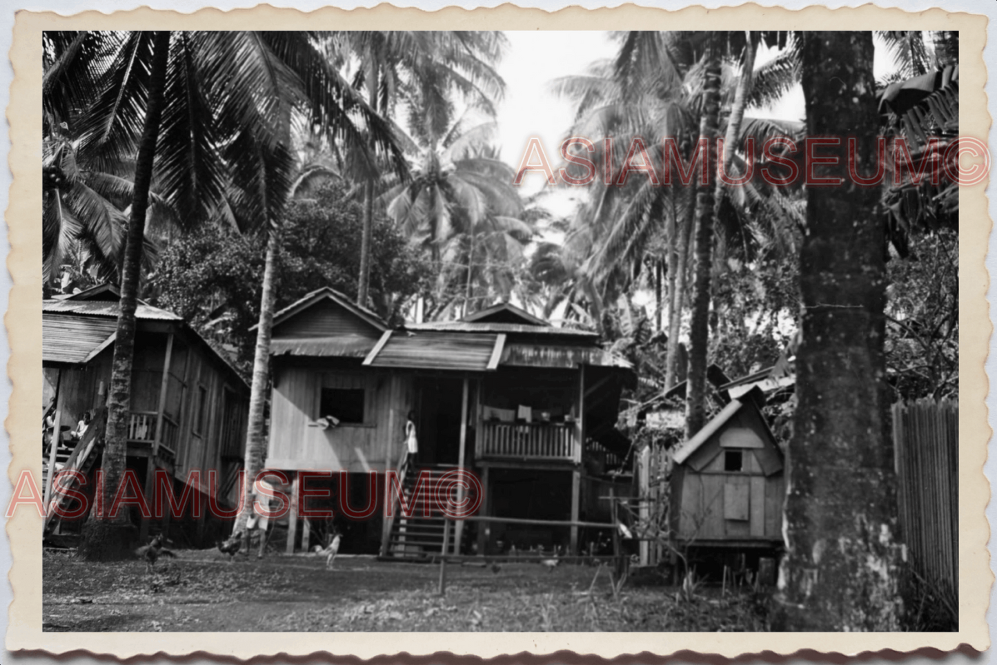 50s PHILIPPINES VILLAGE STILT HOUSE HUT COCONUT TREE TRIBE Vintage Photo 29073