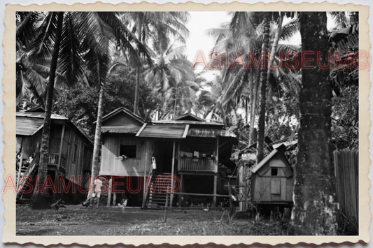 50s PHILIPPINES VILLAGE STILT HOUSE HUT COCONUT TREE TRIBE Vintage Photo 29073