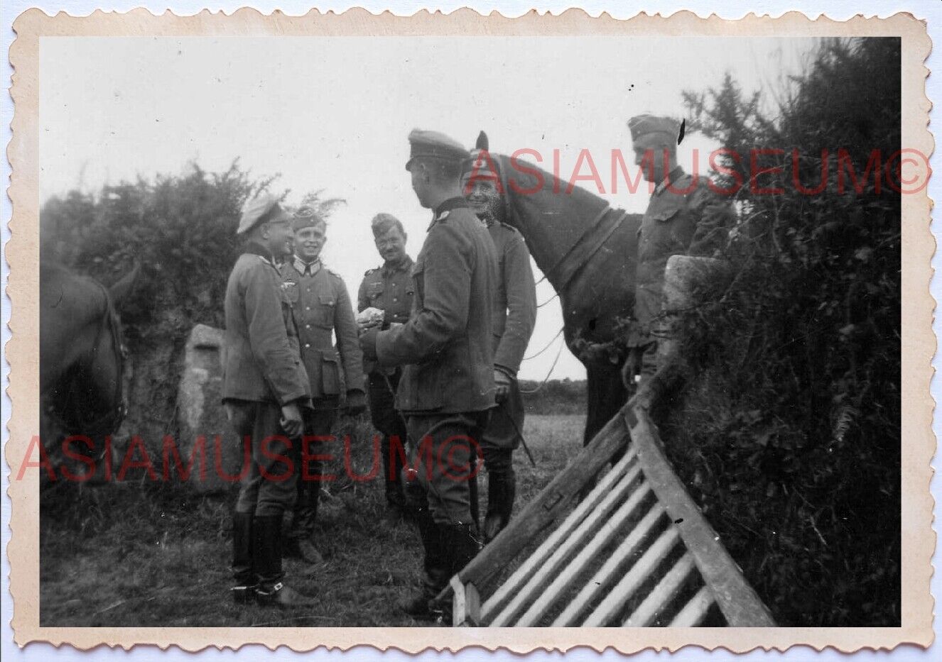 WWii D-DAY NORMANDY EUROPE ARMY Soldier GENERAL WAR HORSE Wehrmacht Photo A75