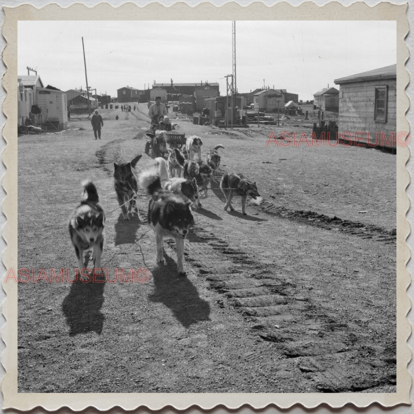 50s UTQIAGVIK NORTH SLOPE BARROW ALASKA MAN DOG SLED HOME VINTAGE USA Photo 7990