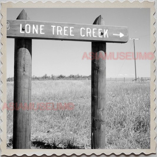 50s CUSTER COUNTY COLORADO WESTCLIFFE LONE TREE CREEK VINTAGE USA Photo 11125