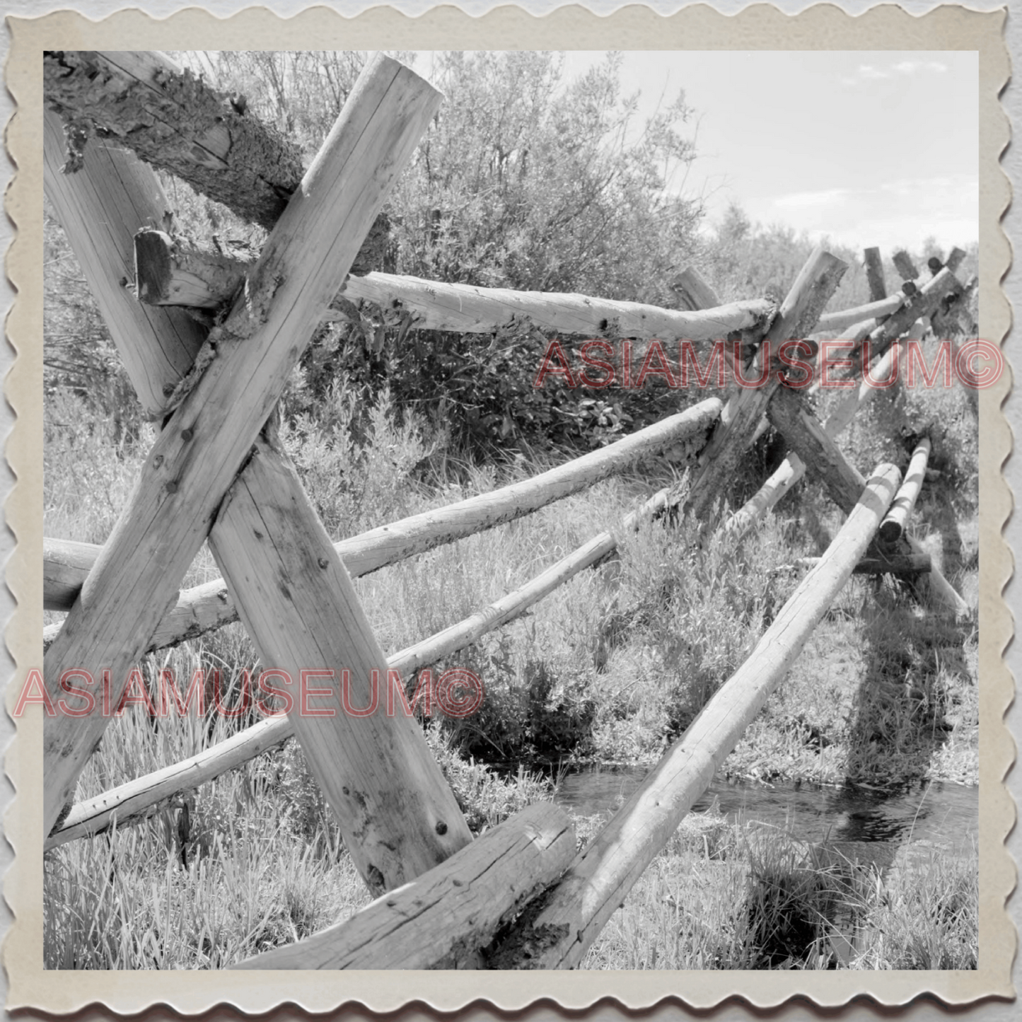 50s GRAND TETON NATIONAL PARK JACKSON HOLE WYOMING FENCE WOOD OLD USA Photo 8627