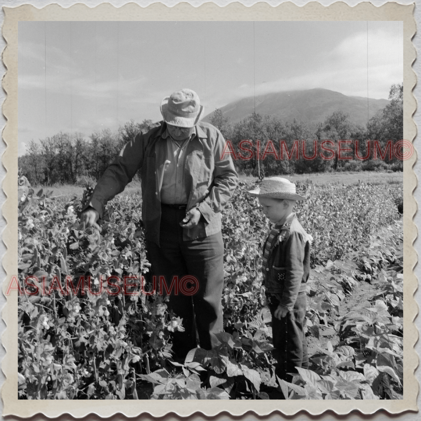 50s PALMER CITY Matanuska-Susitna ALASKA FARMER BOY MAN VINTAGE USA Photo 10353