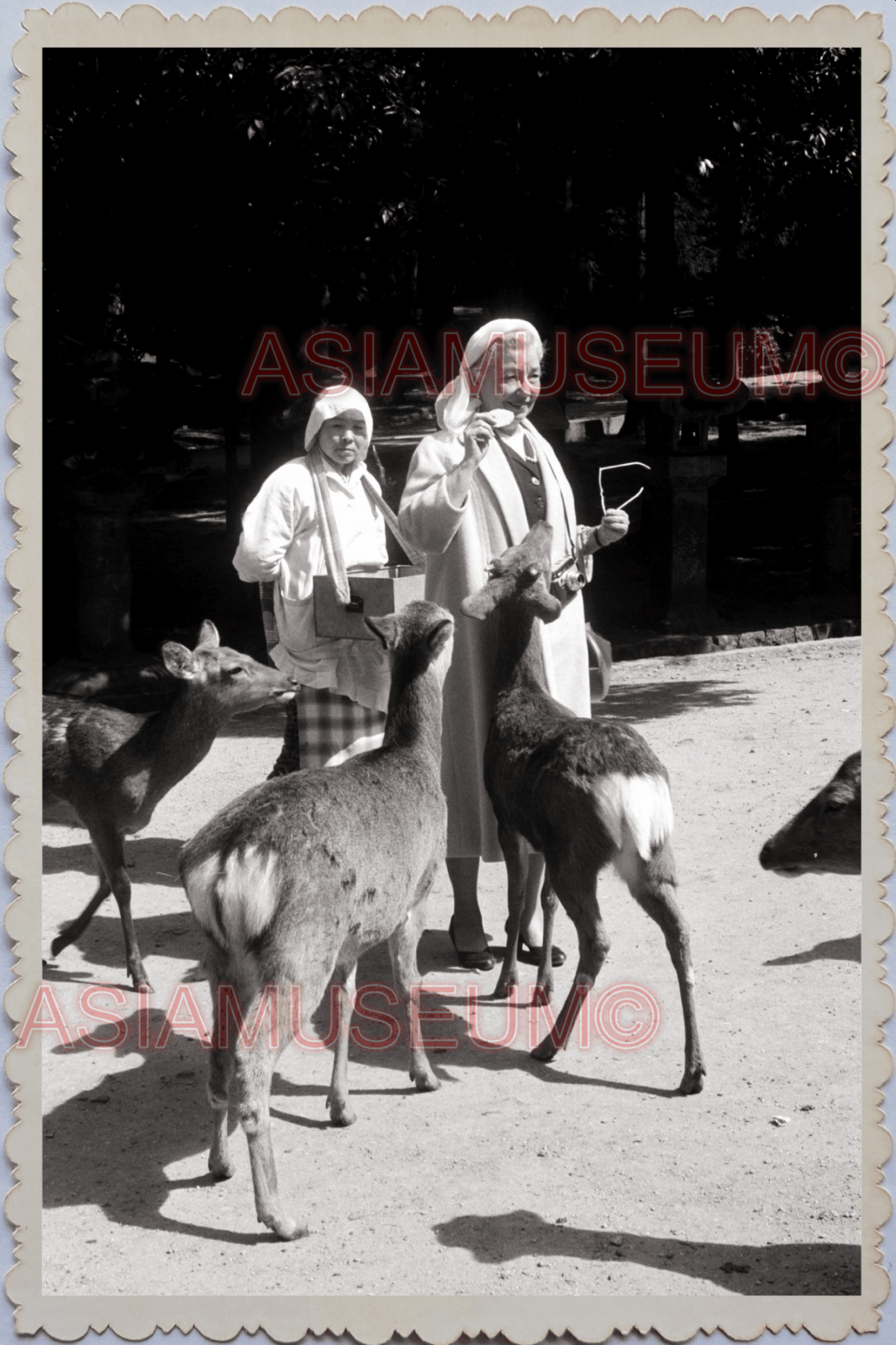 40s WW2 JAPAN TOKYO Todai-Ji Temple Nara Deer Feeding Vintage Old Photo 24574