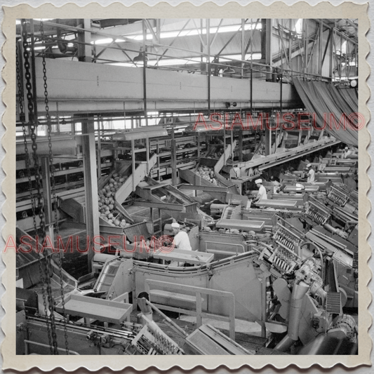 50s WAHIAWA HONOLULU HAWAII DOLE PLANTATION FACTORY MAN VINTAGE USA Photo 11965