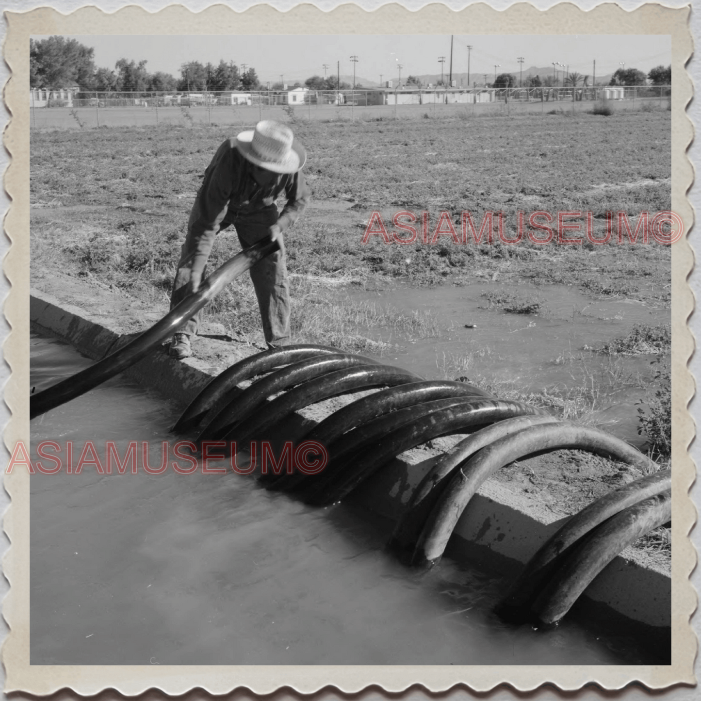 50s PHOENIX CITY MARICOPA COUNTY ARIZONA COTTON FARM MAN VINTAGE USA Photo 11630