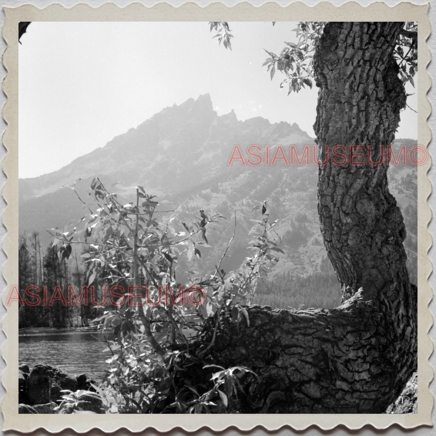 50s GRAND CANYON NATIONAL PARK COLORADO RIVER ARIZONA VIEW OLD BW USA Photo 8577