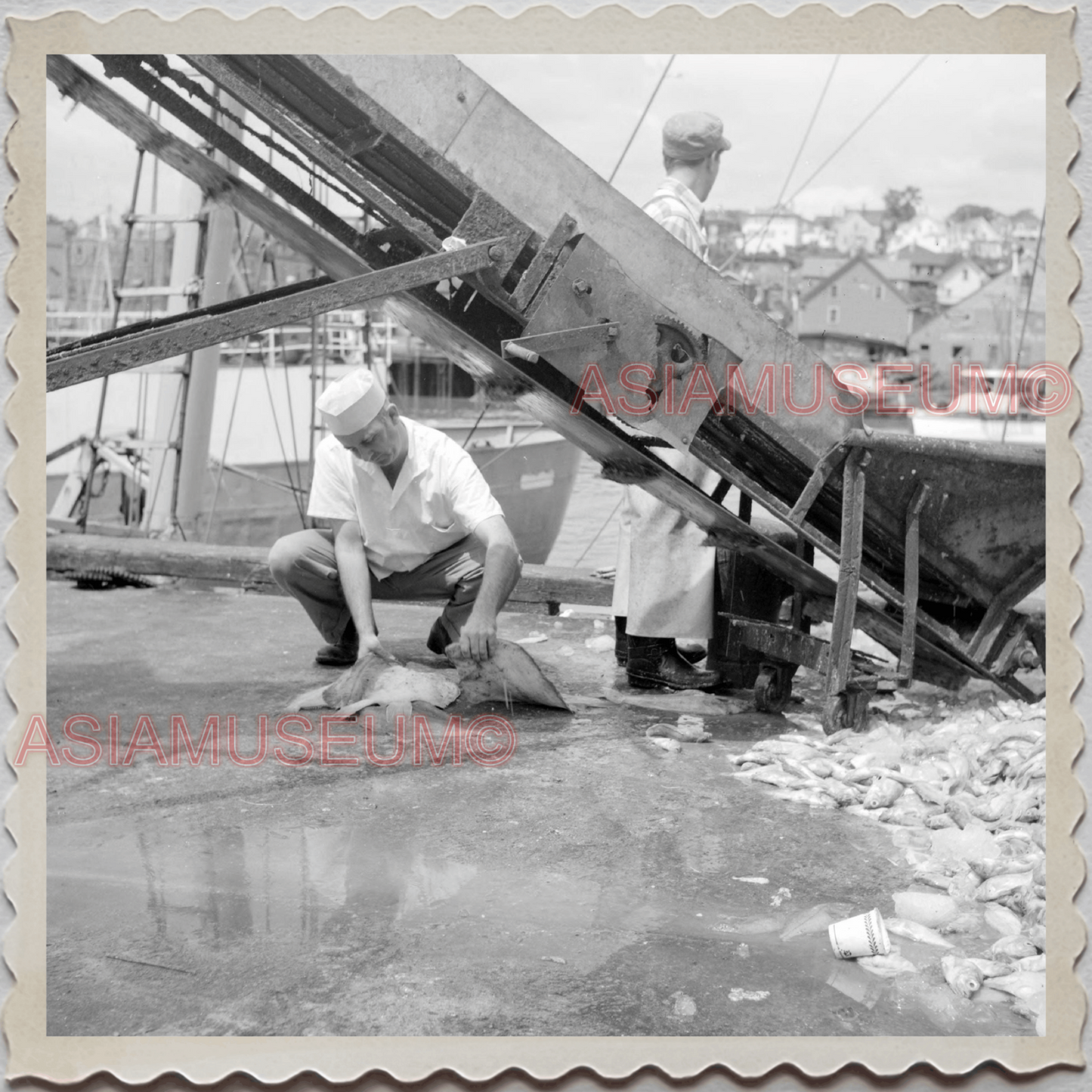 50s GLOUCESTER HARBOR ESSEX MASSACHUSETTS FISHERMAN FISH VINTAGE USA Photo 10344