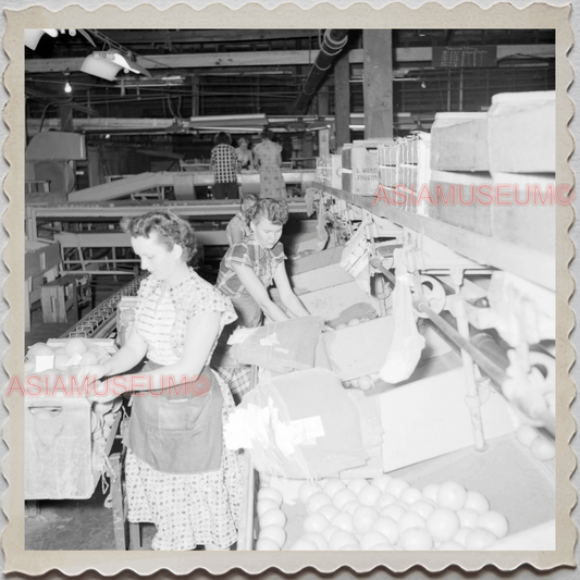 50s FROSTPROOF FLORIDA FOLK SNOW CROP FACTORY US VINTAGE USA AMERICA Photo 8042