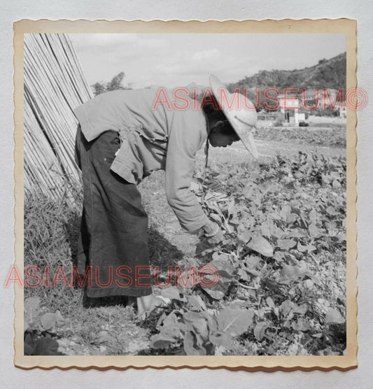 Old Lady Women Farmer Squatters Village Sha Tau Kok Hong Kong Photo 香港旧照片 26856