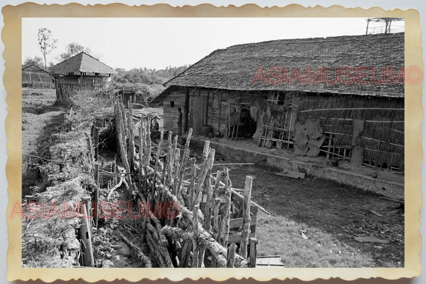 50s Vietnam SAIGON HO CHI MINH VILLAGE HUT COW BARN WAR OLD Vintage Photo #1688