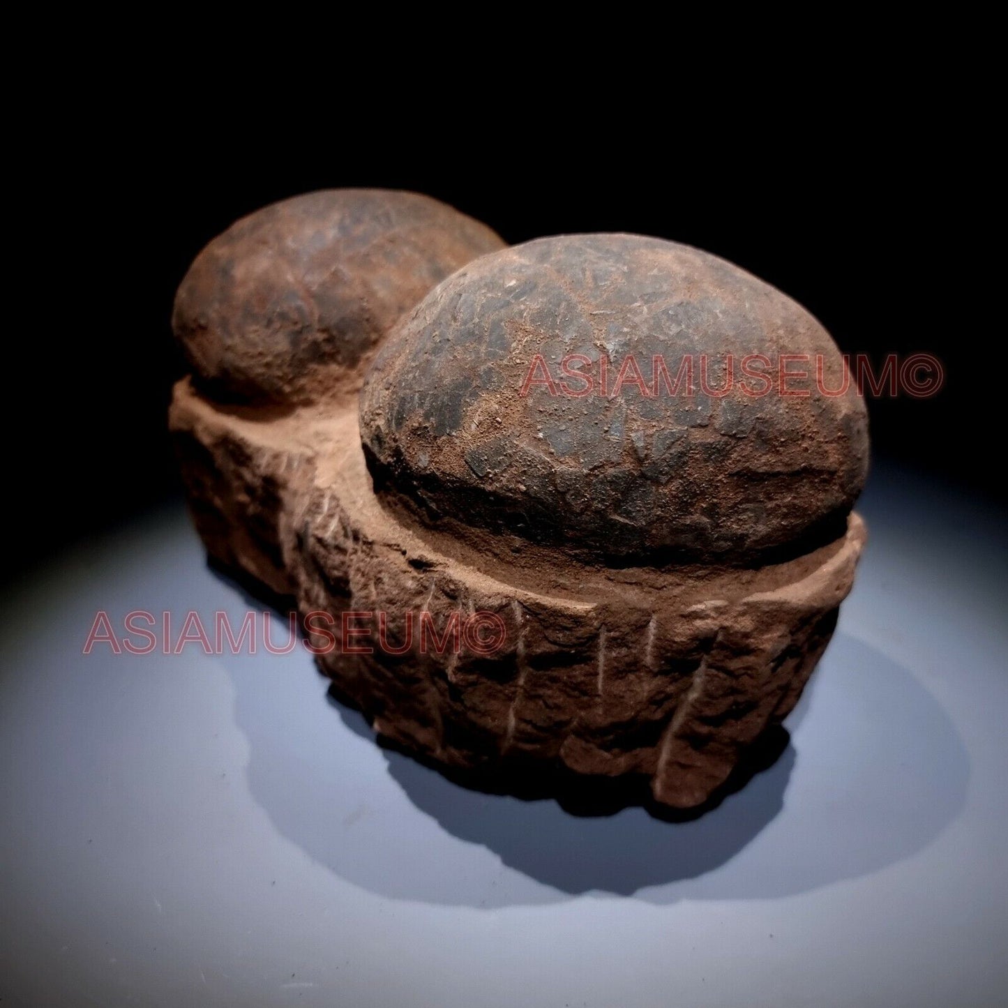 DOUBLE PAIR Dinosaur Egg Nest Hadrosaur Duckbill Fossil Jurassic Cretaceous B3w2