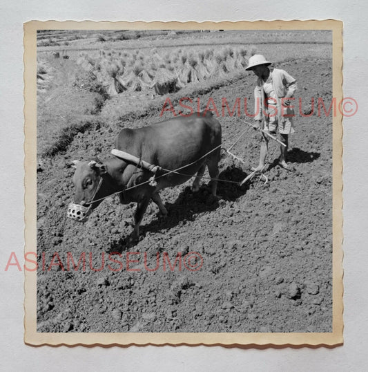 MAN COW TAI O FARMER VILLAGE MOUNTAIN B&W Vintage Hong Kong Photo 27930 香港旧照片