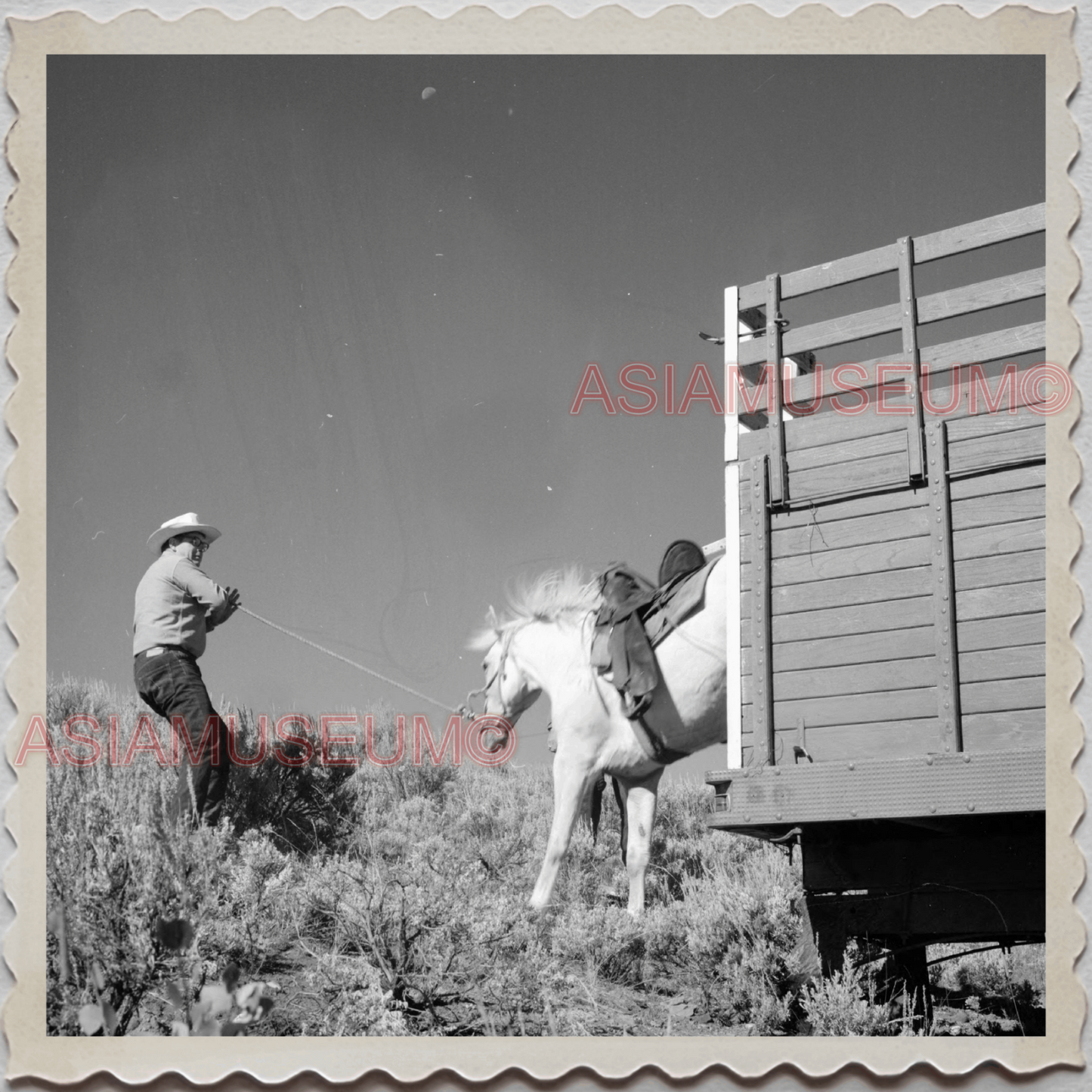 50s WYOMING MONTANA SOUTH DAKOTA NEBRASKA CHEYENNE HORSE VINTAGE USA Photo 8747