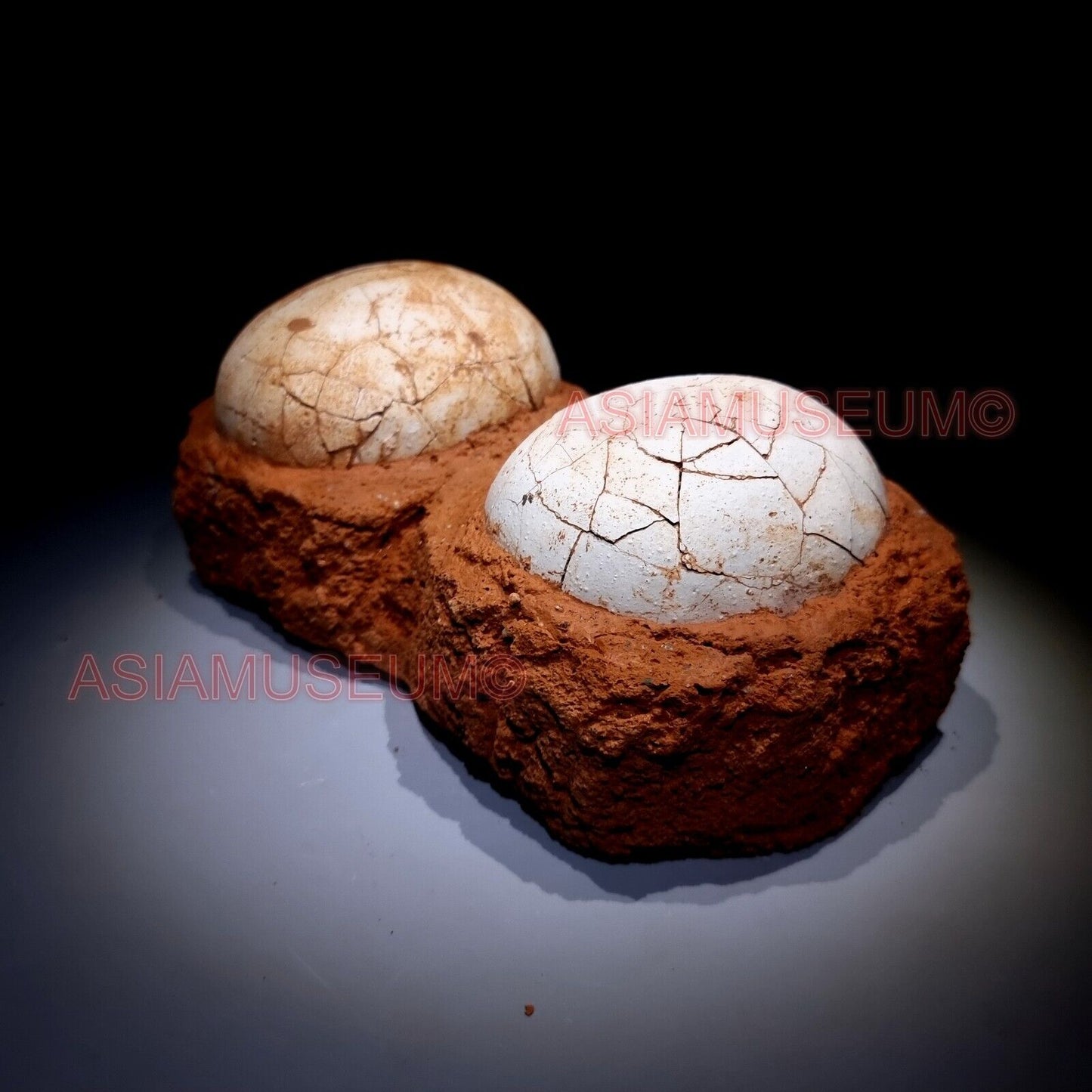 PAIR DOUBLE JURASSIC WORLD Shunosaurus SAUROPOD Lizards Dinosaur Egg Nest Fossil