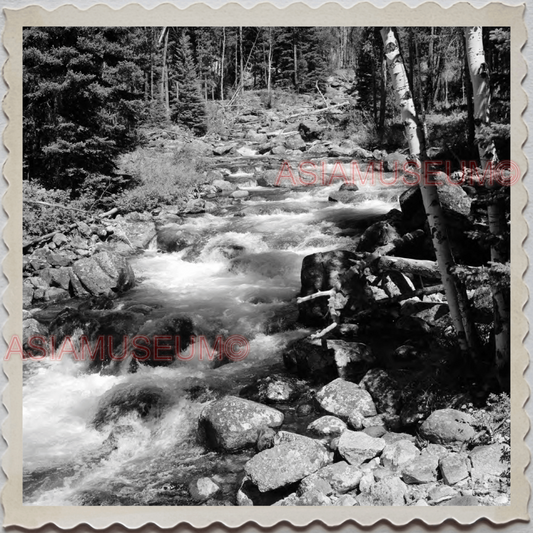 50s YELLOWSTONE NATIONAL PARK WYOMING MONTANA STREAM RIVER OLD USA Photo 11687