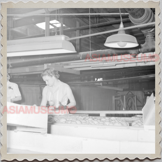 50s FROSTPROOF FLORIDA WOMEN FRUITS FACTORY WORK VINTAGE USA AMERICA Photo 10727