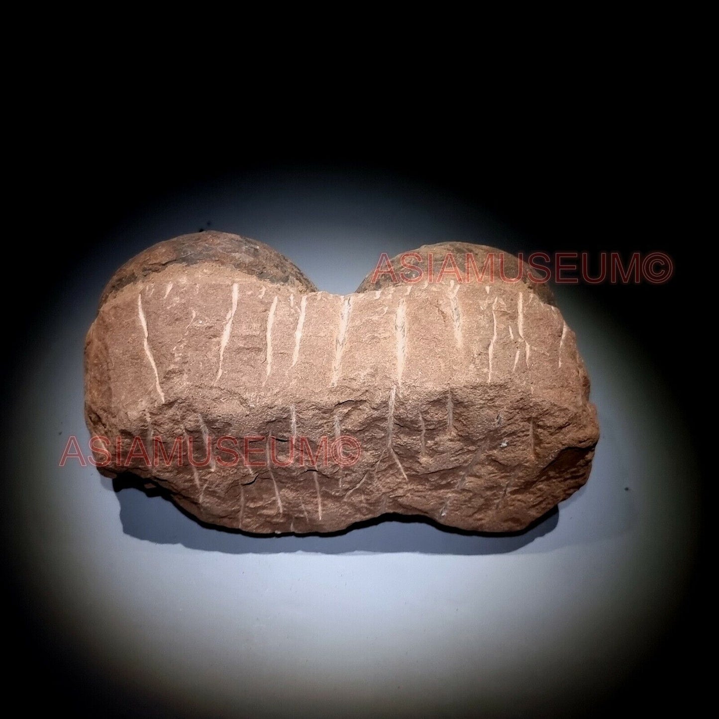 DOUBLE PAIR Dinosaur Egg Nest Hadrosaur Duckbill Fossil Jurassic Cretaceous B3w1