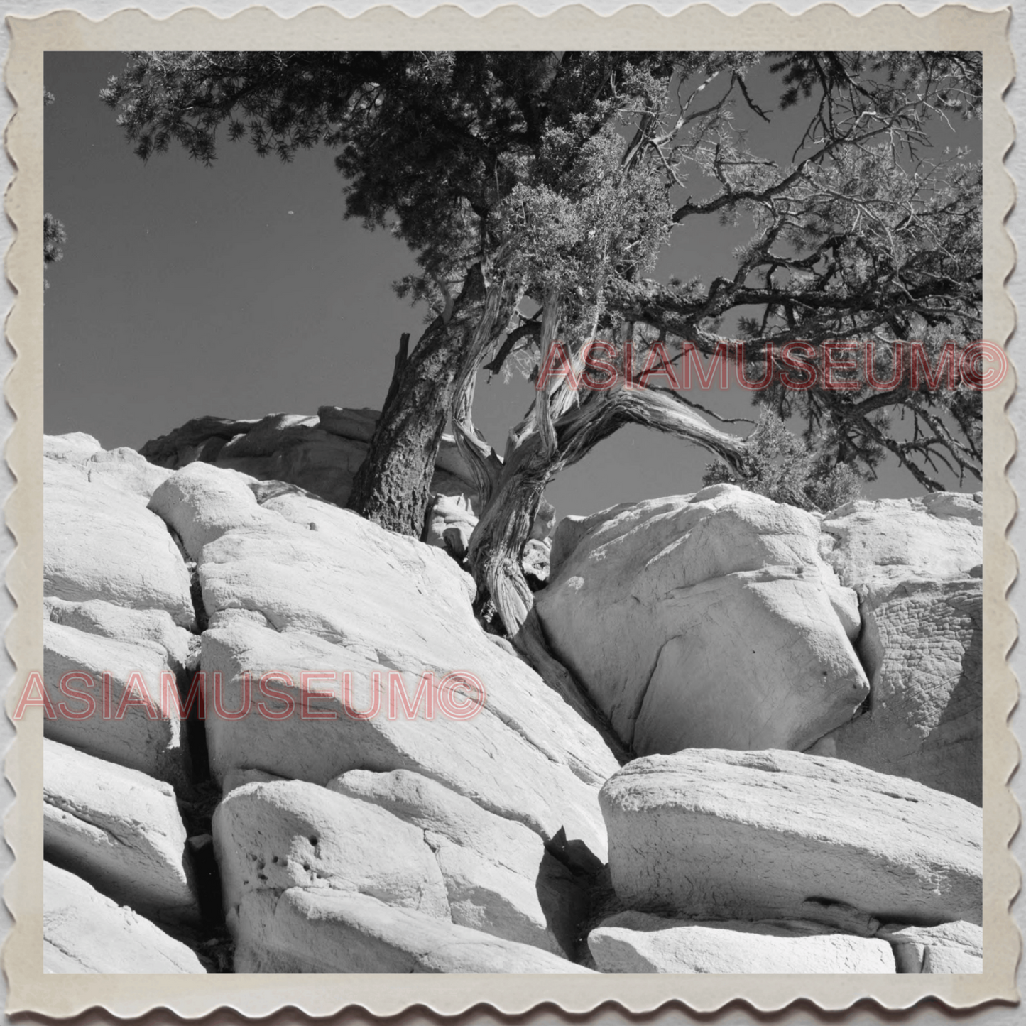 50s WINDOW ROCK NAVAJO NEW MEXICO ARIZONA SANDSTONE ROCK VINTAGE USA Photo 10039